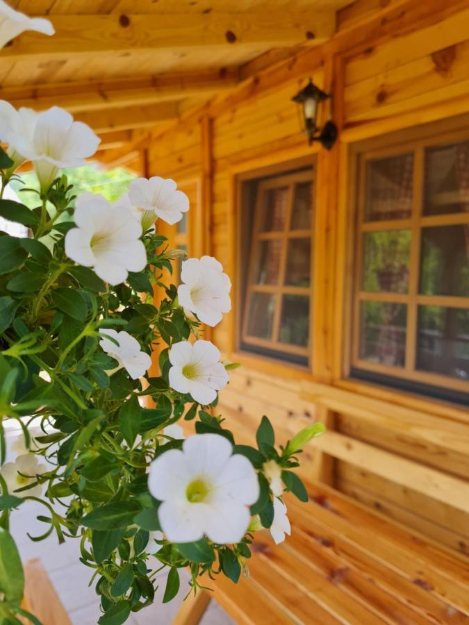 Guest House Rankic Мокра гора Екстериор снимка